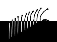 Anfang und Ende-Uenal Coertuek-Annahme