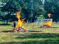 20190720131431-DSC_0029