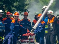 20190720132008-DSC_0051