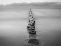 Buhne bei Zingst - Philipp Hayer