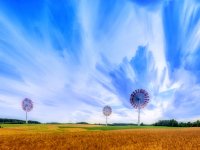 Windräder - Günther Köchel