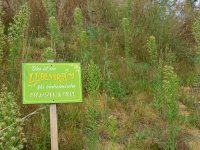 190805 Puch Hortus Garten Foto Alfred Raths  (01)