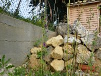 190805 Puch Hortus Garten Foto Alfred Raths  (03)