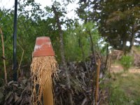 190805 Puch Hortus Garten Foto Alfred Raths  (06)