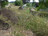 190805 Puch Hortus Garten Foto Alfred Raths  (08)