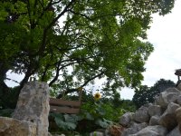 190805 Puch Hortus Garten Foto Alfred Raths  (12)