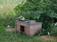 190805 Puch Hortus Garten Foto Alfred Raths  (13)