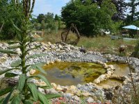 190805 Puch Hortus Garten Foto Alfred Raths  (14)