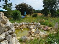 190805 Puch Hortus Garten Foto Alfred Raths  (16)