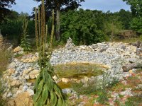 190805 Puch Hortus Garten Foto Alfred Raths  (17)