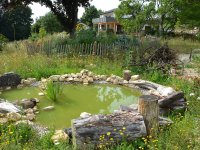 190805 Puch Hortus Garten Foto Alfred Raths  (18)