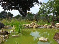 190805 Puch Hortus Garten Foto Alfred Raths  (19)