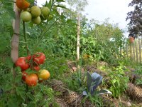 190805 Puch Hortus Garten Foto Alfred Raths  (22)