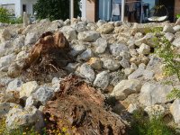 190805 Puch Hortus Garten Foto Alfred Raths  (26)