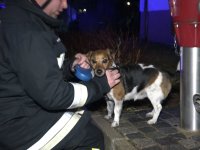 180325_Brand_Wohnhaus_BadAbbach_04