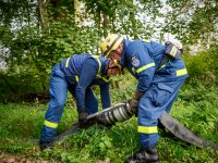 23. September 2017_HCP-Übung-MüMü_MichaelMatthes_14