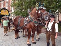 2-1-JS_INT Festzug Herbstvolksfest 00014