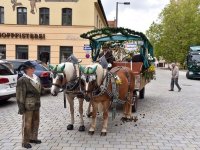 2-1-JS_INT Festzug Herbstvolksfest 00019