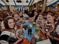 2-1-JS_INT Festzug Herbstvolksfest 00082