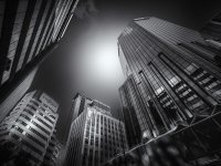 Roland Burgert_Wellington-Skyline