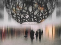 Schleicher-Schwarz Roswitha_globale Offenheit_OBB_2019_1270922