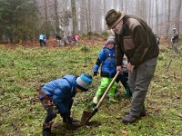191125 SDW Pflanzaktion Stiftungswald Foto Alfred RathsDSC_4849841x561