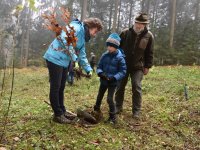 191125 SDW Pflanzaktion Stiftungswald Foto Alfred RathsDSC_4857841x561