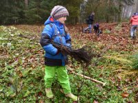 191125 SDW Pflanzaktion Stiftungswald Foto Alfred RathsDSC_4866841x561