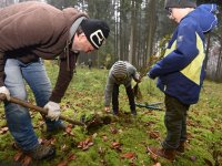191125 SDW Pflanzaktion Stiftungswald Foto Alfred RathsDSC_4872841x561