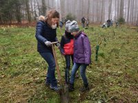 191125 SDW Pflanzaktion Stiftungswald Foto Alfred RathsDSC_4874841x561