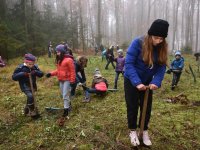 191125 SDW Pflanzaktion Stiftungswald Foto Alfred RathsDSC_4876841x561