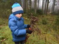 191125 SDW Pflanzaktion Stiftungswald Foto Alfred RathsDSC_4881841x561