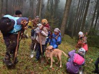 191125 SDW Pflanzaktion Stiftungswald Foto Alfred RathsDSC_4882841x561