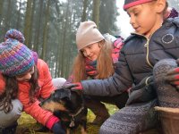 191125 SDW Pflanzaktion Stiftungswald Foto Alfred RathsDSC_4892841x561