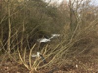 de10722a-41ab-4d17-954a-e6f4e21e50f0