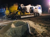 55961930_1480068398797197_552931624375812096_n