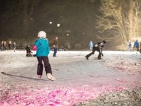 x-1-28. Januar 2017_DanceOnIce_MichaelMatthes(THW)_8