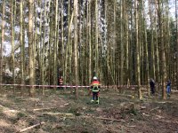 20190331_Flugzeugabsturz_Maxhuette_Haidhof_3