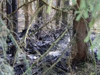 20190331_Flugzeugabsturz_Maxhuette_Haidhof_7