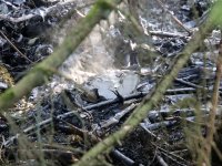 20190331_Flugzeugabsturz_Maxhuette_Haidhof_8