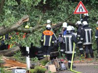 20170730_BaumaufPKW_Lohstadt_1