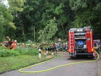 20170730_BaumaufPKW_Lohstadt_2