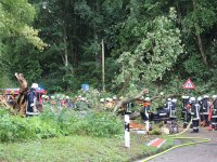 20170730_BaumaufPKW_Lohstadt_3