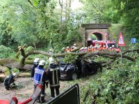 20170730_BaumaufPKW_Lohstadt_4