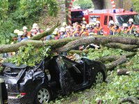 20170730_BaumaufPKW_Lohstadt_5