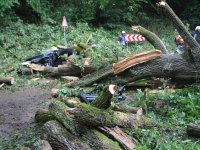 20170730_BaumaufPKW_Lohstadt_6