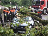 20170730_BaumaufPKW_Lohstadt_7