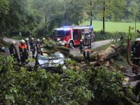 20170730_BaumaufPKW_Lohstadt_8