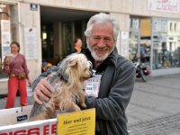 JS_ Antiktmarkt in der Innenstadt 0122