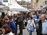 JS_ Antiktmarkt in der Innenstadt 0160
